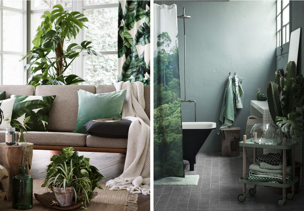 Jungle style with luscious plants