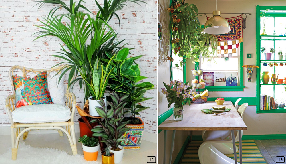 Lush plants in interiors