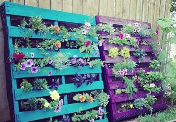 A vegetal wall from wooden pallets