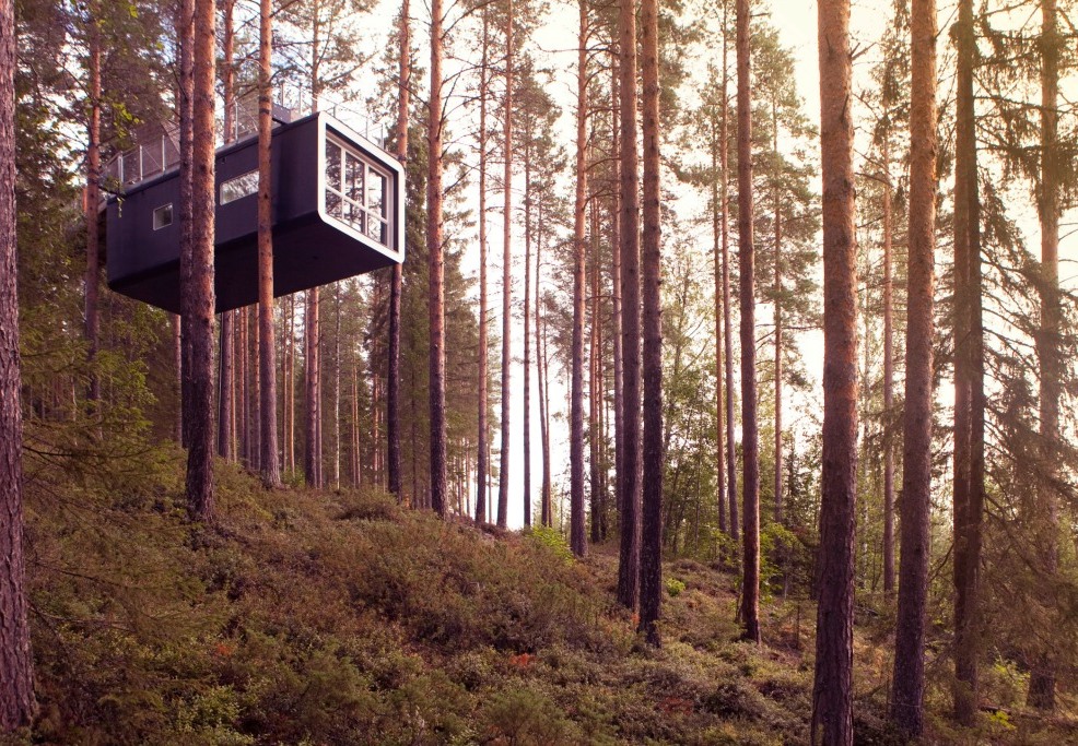 Hotel room in the trees